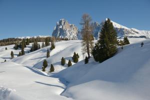 Tirol del Sur, Italia