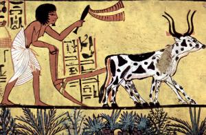 Plowing farmer, Burial chamber of Sennedjem