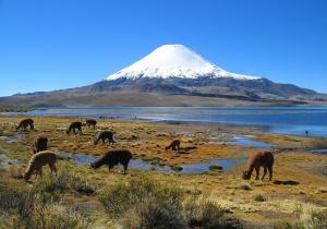 Parinacota volcano, Chile