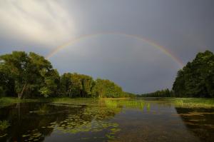 Väimela Alajärv, Estonia