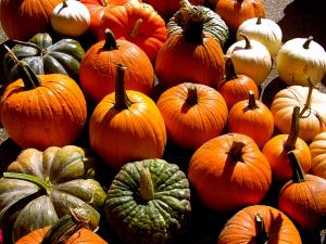 Pumpkins