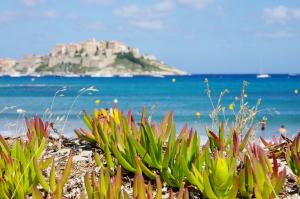 Calvi, Francia