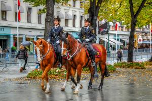 Mounted police