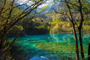 Valle Rize, China