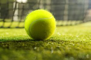 Pelota de tenis