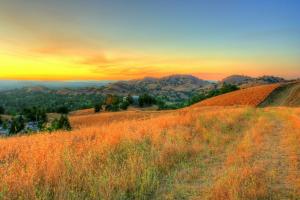 Walnut Creek, Estados Unidos