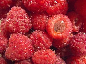 Raspberries