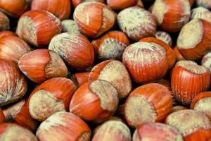 Hazelnuts