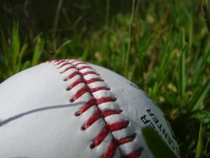 Pelota de béisbol