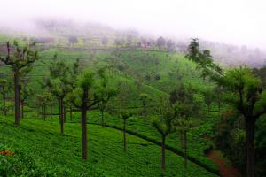 Coonoor, India