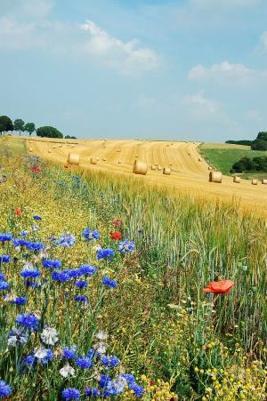 Hamois, Belgium