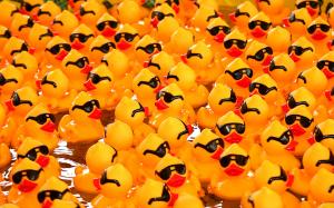 Rubber ducks