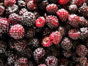 Black raspberry