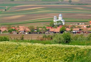 Cuci, Romania