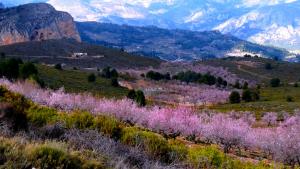 Callosa d'en Sarrià, Spain