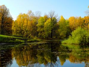 Botanical Garden, Moscow