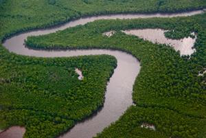 Caroni Swamp, Trinidad and Tobago