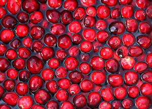 Cranberries