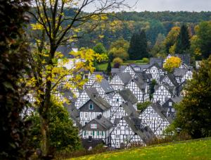 Freudenberg, Alemania