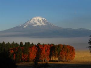 Monte Adams, Washington