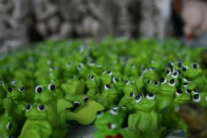 Frog toys