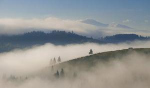 Carpathian Biosphere Reserve, Ukraine