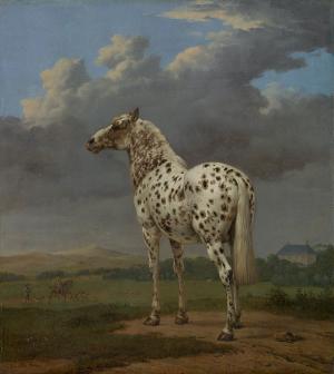 El caballo moteado, Paulus Potter